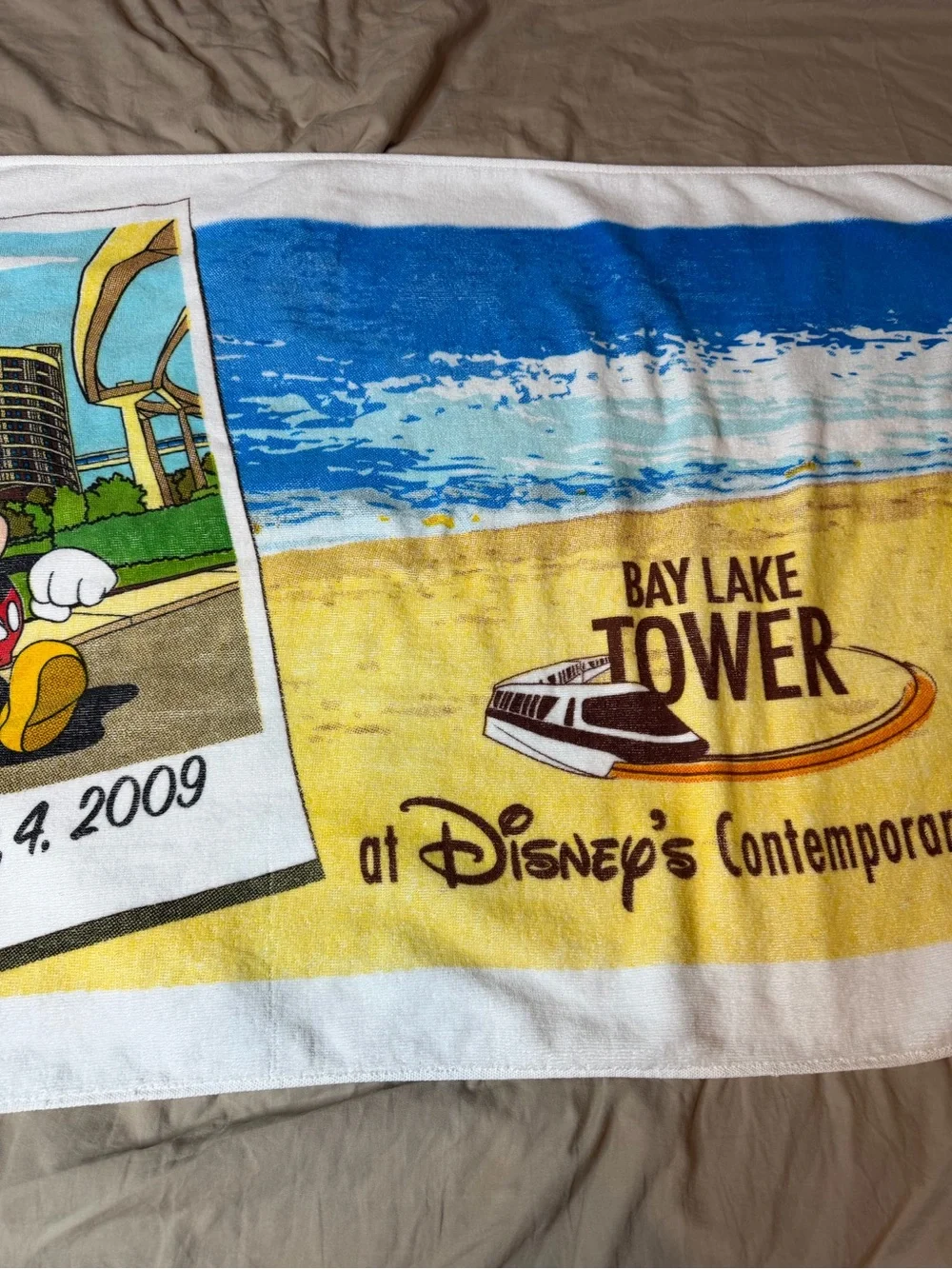 Disney vtg bay